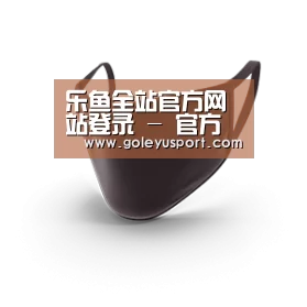 成人布口罩
