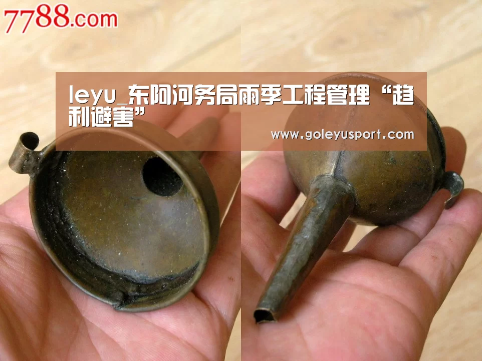 leyu_东阿河务局雨季工程管理“趋利避害”(图3) 乐鱼入口