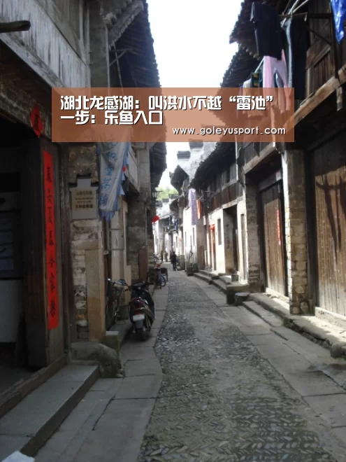 乐鱼全站