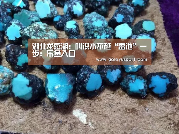 乐鱼登录