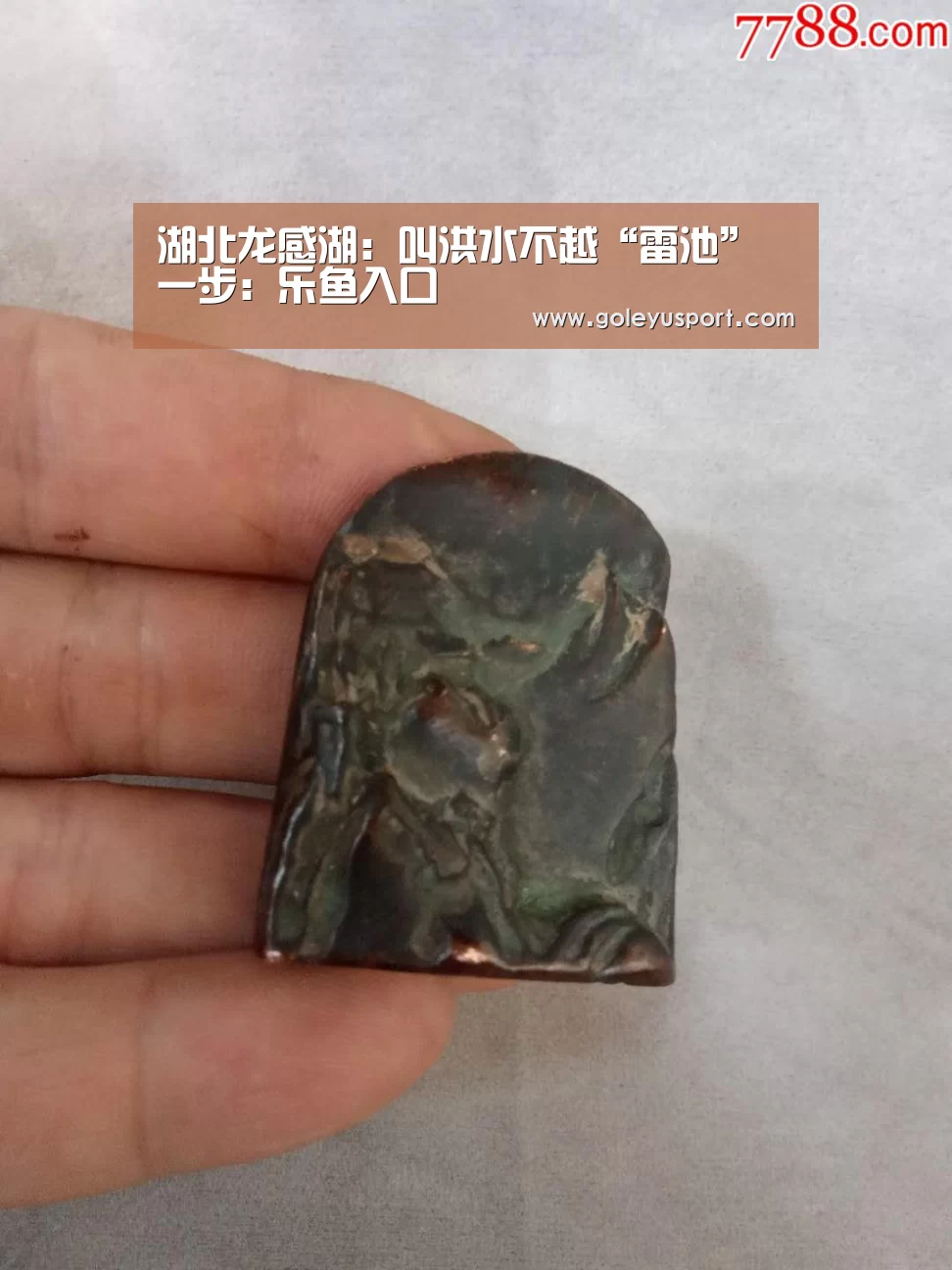 湖北龙感湖：叫洪水不越“雷池”一步：乐鱼入口(图2)