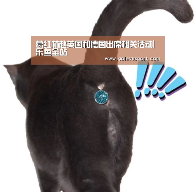 葛红林赴英国和德国出席相关活动|乐鱼全站(图2) 乐鱼登录