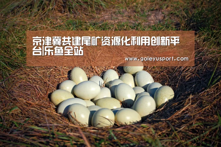 京津冀共建尾矿资源化利用创新平台|乐鱼全站(图1)