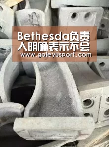 Bethesda负责人明确表示不会推出大逃杀玩法|leyu(图1) 乐鱼登录