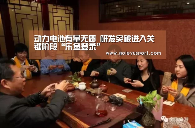 动力电池有量无质 研发突破进入关键阶段“乐鱼登录”(图1) 乐鱼登录