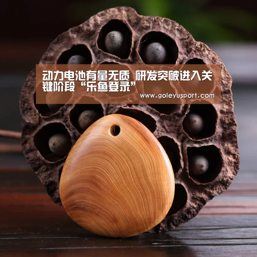 动力电池有量无质 研发突破进入关键阶段“乐鱼登录”(图3) 乐鱼登录