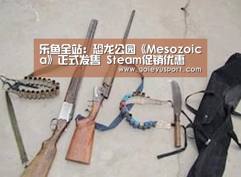 乐鱼入口