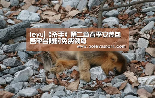 leyu|《杀手》第二章春季安装包各平台限时免费领取(图2) 乐鱼登录