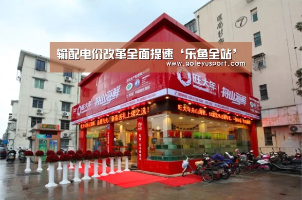 输配电价改革全面提速‘乐鱼全站’(图1) 乐鱼登录