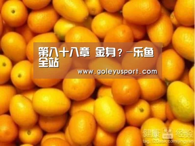 第八十八章 金身?-乐鱼全站(图3) 第八十八章 金身?-乐鱼全站(图3)