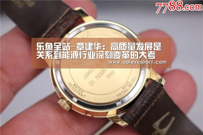 乐鱼全站-章建华：高质量发展是关系到能源行业深刻变革的大考(图4)