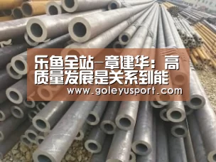 乐鱼全站-章建华：高质量发展是关系到能源行业深刻变革的大考(图2)