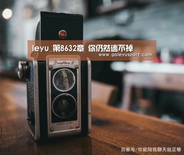乐鱼入口