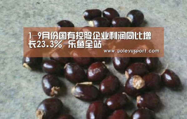 1-9月份国有控股企业利润同比增长23.3%-乐鱼全站(图4) 乐鱼入口