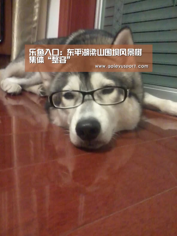 乐鱼全站