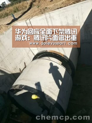 华为回应全面下架腾讯游戏:腾讯片面做出重大变换 不赞同但明白-乐鱼全站(图3) 乐鱼全站