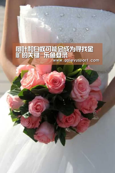 乐鱼入口