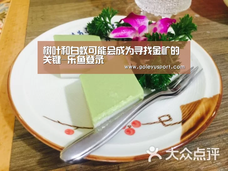 乐鱼登录