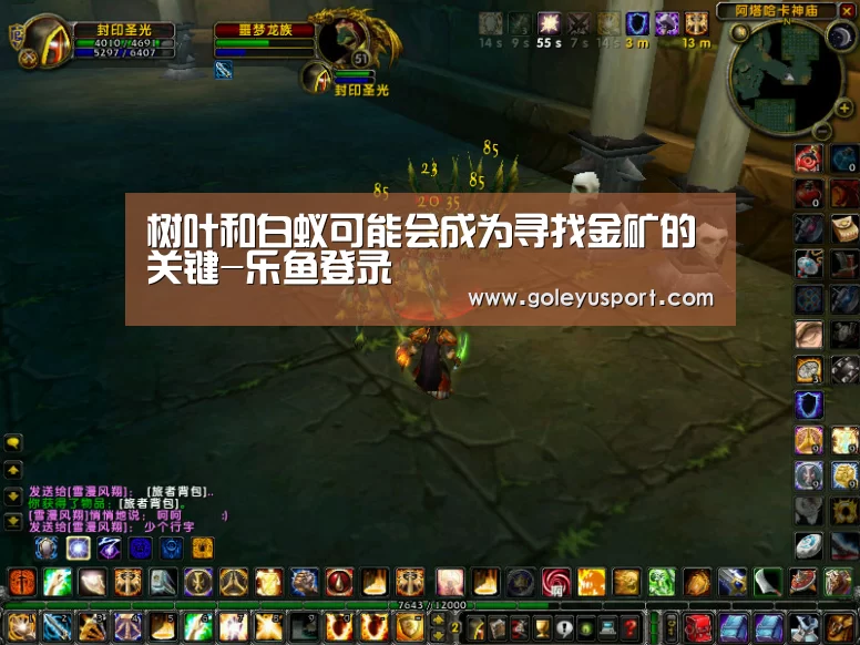 乐鱼全站